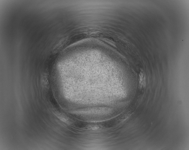 X0000054380654200508121608