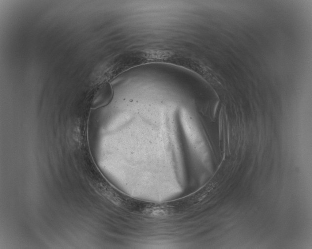 X0000054380655200508121608
