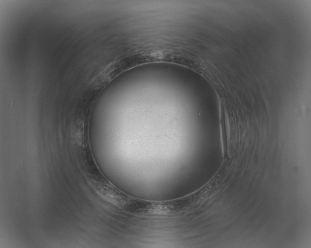 X0000054380656200508121608
