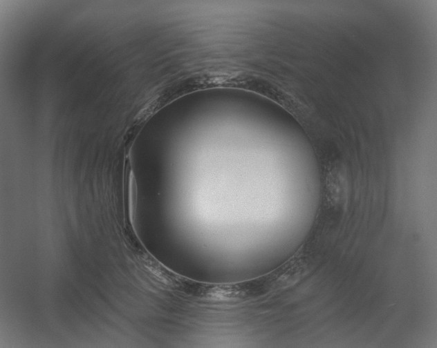 X0000054380657200508121608