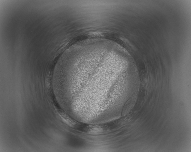 X0000054380658200508121608