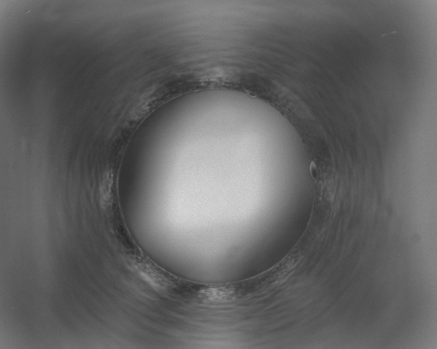 X0000054380660200508121608