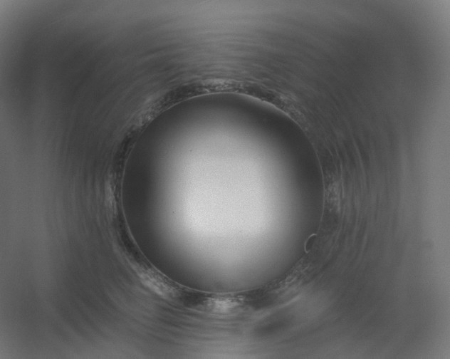 X0000054380662200508121608