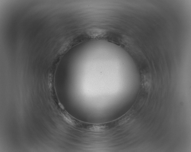 X0000054380664200508121608