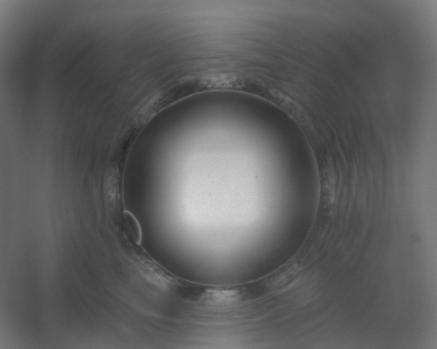 X0000054380665200508121608