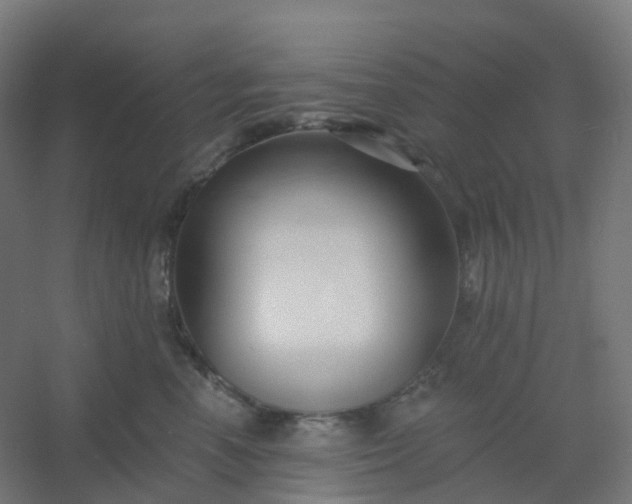 X0000054380666200508121608