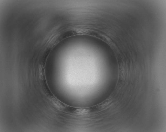 X0000054380667200508121608