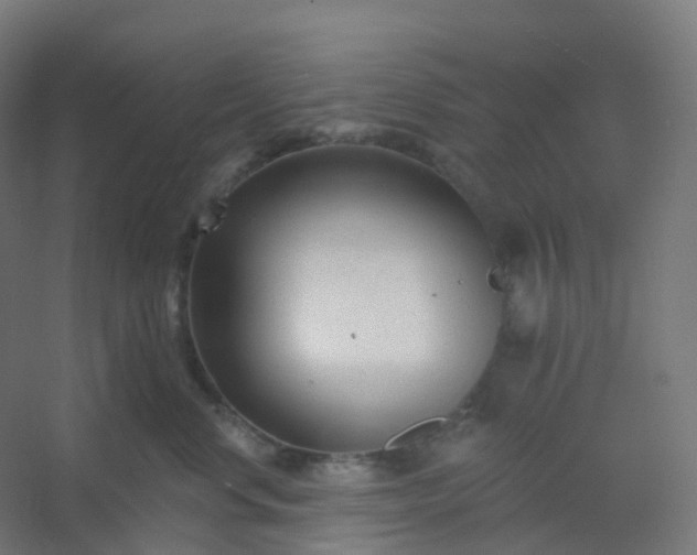 X0000054380668200508121608