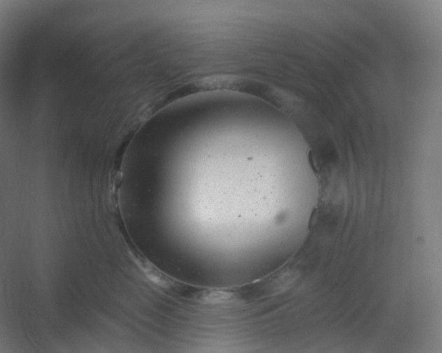 X0000054380669200508121608