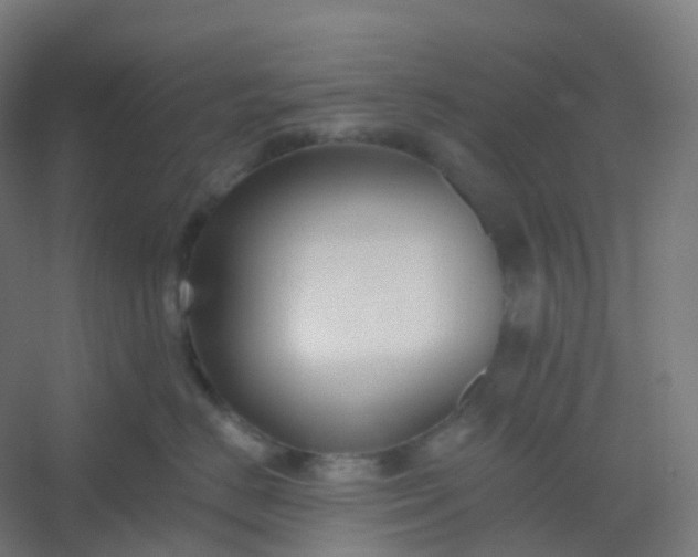 X0000054380670200508121608