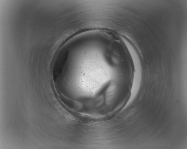 X0000054380673200508121607