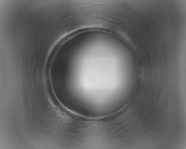 X0000054380676200508121607