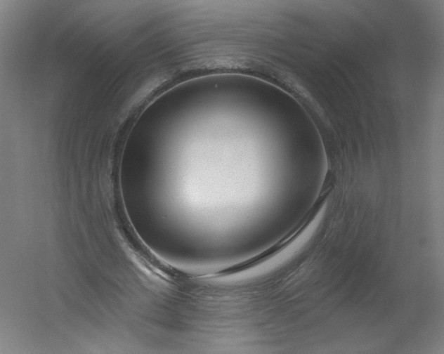 X0000054380677200508121607