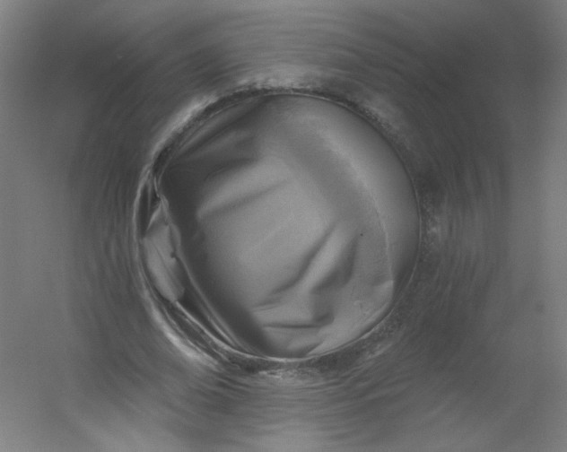 X0000054380678200508121607