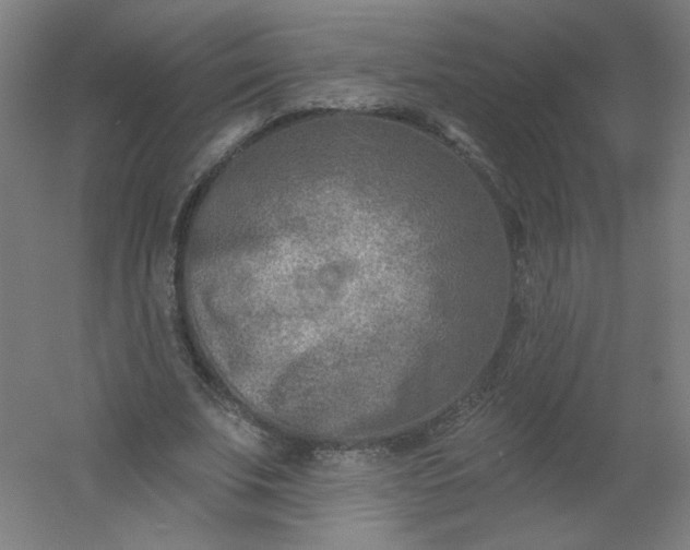 X0000054380679200508121607