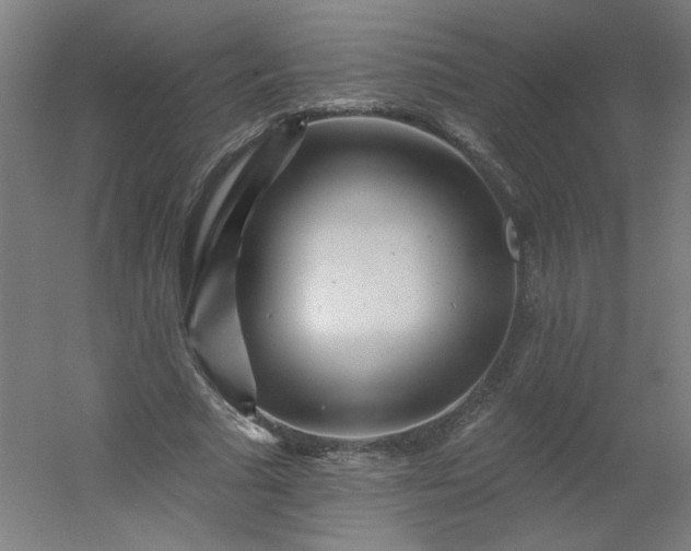 X0000054380681200508121607