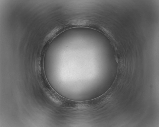 X0000054380682200508121607