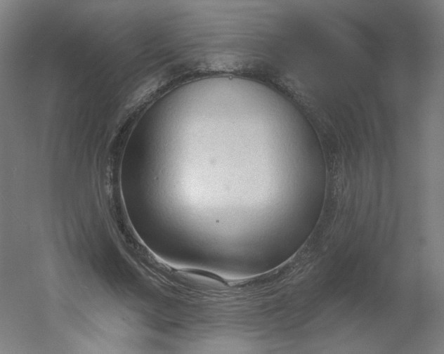 X0000054380683200508121607