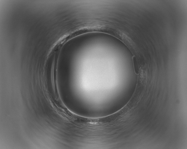 X0000054380684200508121607