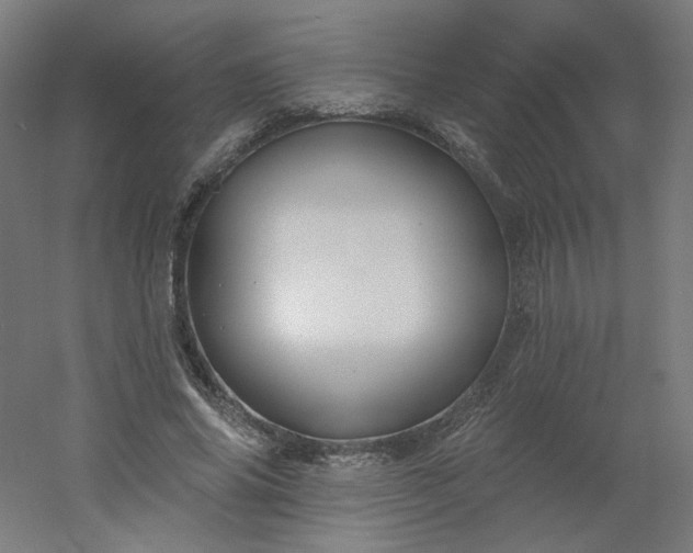 X0000054380686200508121607