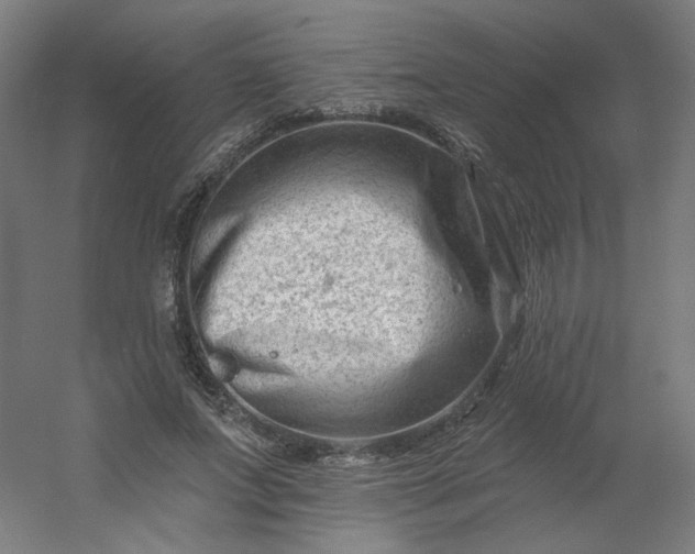 X0000054380687200508121607