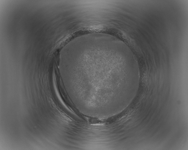 X0000054380689200508121607