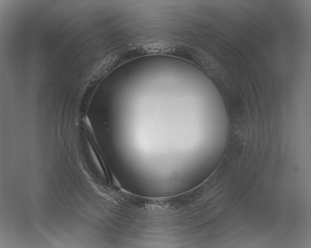 X0000054380690200508121607