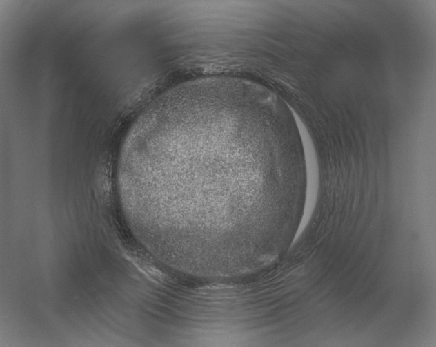 X0000054380691200508121607