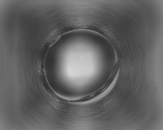 X0000054380693200508121607
