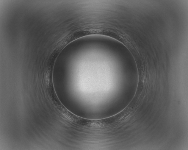 X0000054380697200508121607