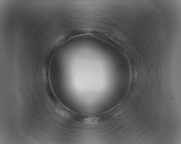 X0000054380700200508121607
