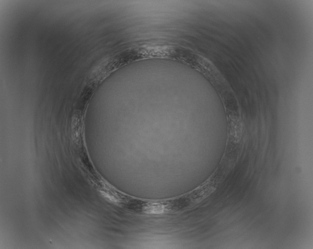 X0000054380701200508121607