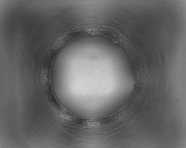 X0000054380702200508121607