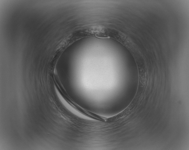X0000054380704200508121607