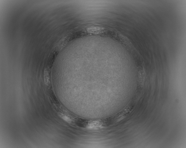 X0000054380705200508121606