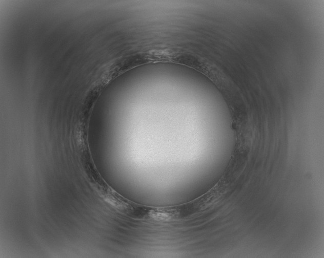 X0000054380706200508121606