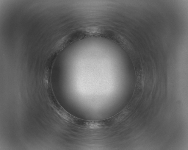 X0000054380710200508121606