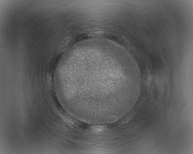 X0000054380711200508121606