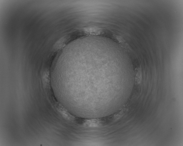 X0000054380713200508121606