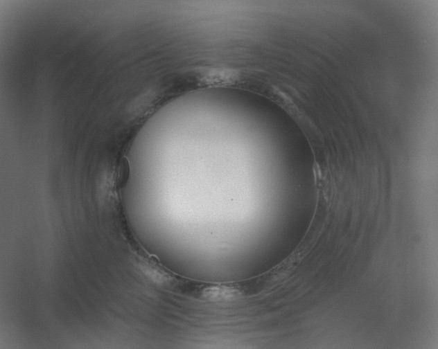 X0000054380714200508121606