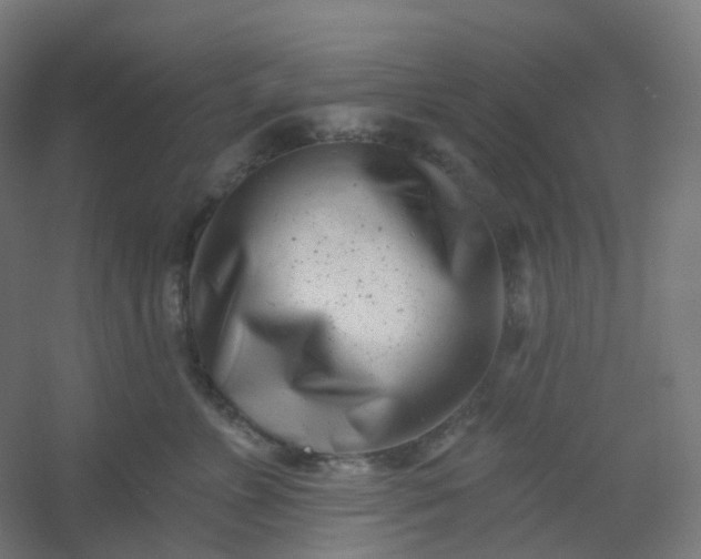 X0000054380715200508121606