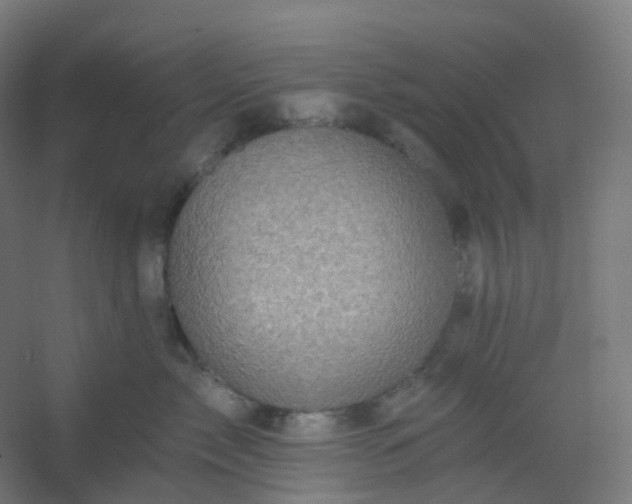 X0000054380717200508121606
