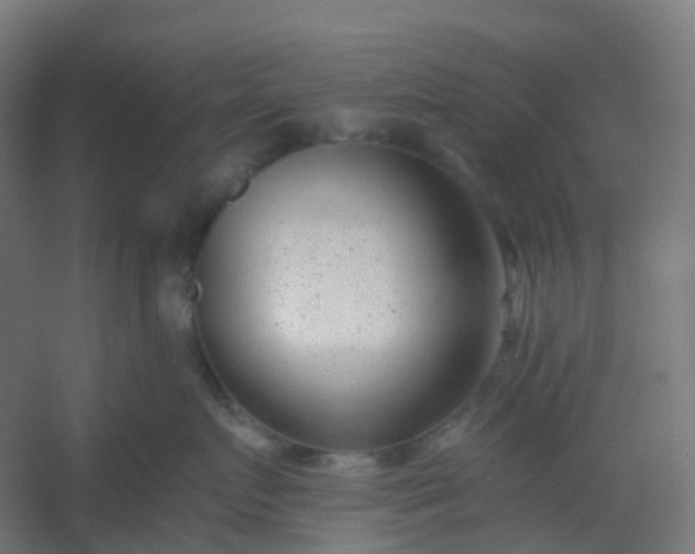 X0000054380719200508121606