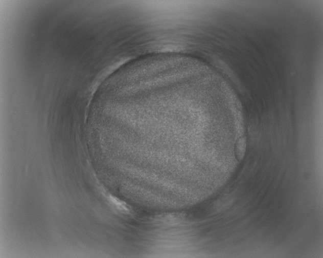X0000054380721200508121605