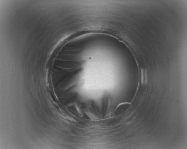 X0000054380723200508121605