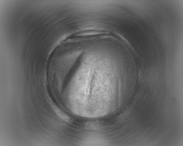 X0000054380725200508121605