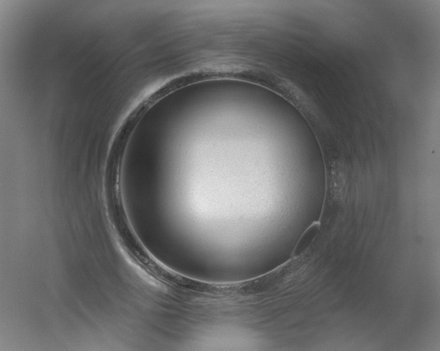 X0000054380726200508121605