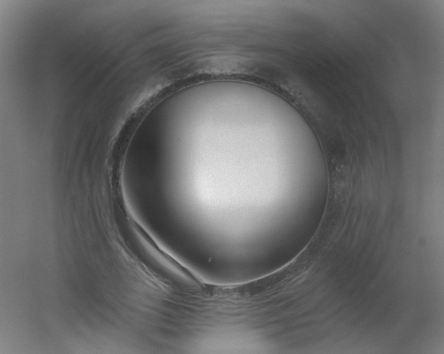 X0000054380727200508121606