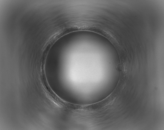 X0000054380733200508121606