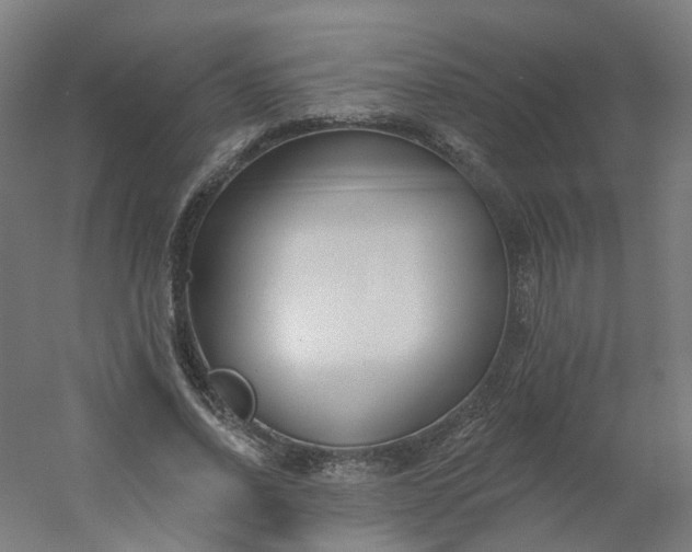 X0000054380734200508121606